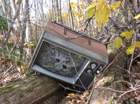 broken_tv_in_woods